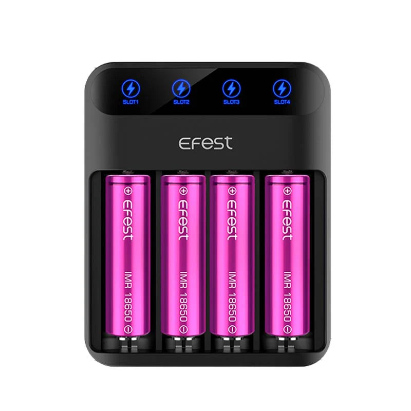 EFFEST 18650 BATTERY CHARGER